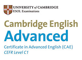 CAE (Advanced Cambridge Certificate)