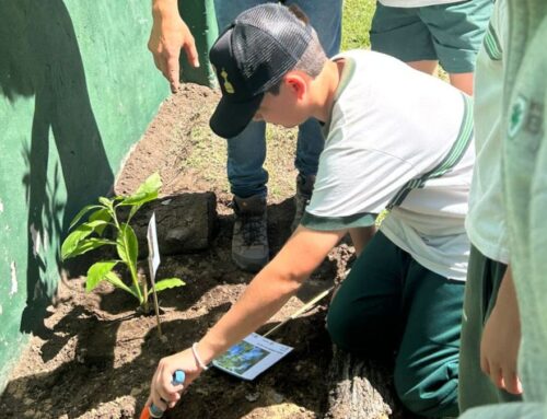 Renovación de nuestro compromiso con el medio ambiente