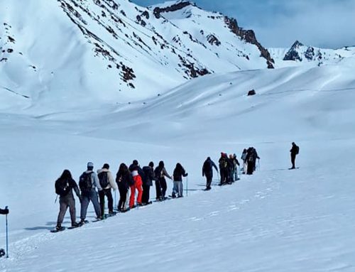 Aventura y crecimiento en Los Molles: El valor invaluable de los viajes escolares